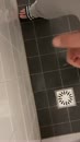 ♠ Vroeg in de morgen, film 00:00:15, 4 reacties, 9 stemmen