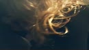 ..., film 00:00:19, 7 reacties, 28 stemmen