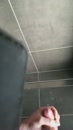 ., film 00:00:17, 2 reacties, 7 stemmen
