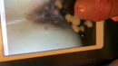 @naughtyness, film 00:00:00, 0 reacties, 4 stemmen