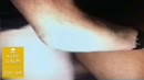 Willem neukt Chris, film 00:00:00, 16 reacties, 96 stemmen