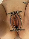 12-01-2023, foto 3000x4000, 31 reacties, 165 stemmen
