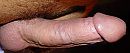 2006, foto 1160x480, 1 reacties, 3 stemmen