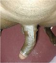 Daddy dick, foto 519x579, 3 reacties, 6 stemmen