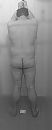 ..., foto 1183x2916, 0 reacties, 3 stemmen