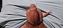 ... buiten, foto 4000x1800, 0 reacties, 4 stemmen