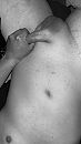 24 boy, foto 1242x2208, 2 reacties, 16 stemmen