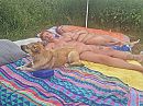 3 dames op een rij, foto 2048x1536, 18 reacties, 72 stemmen