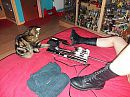 ???, foto 4000x3000, 6 reacties, 26 stemmen