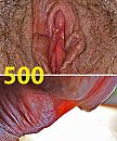 500 ISMers, foto 778x934, 7 reacties, 44 stemmen
