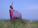 Aan zee, foto 800x600, 4 reacties, 24 stemmen