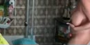 Ab unter die Dusche, film 00:00:17, 8 reacties, 46 stemmen