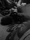 Actie, foto 2014x2685, 0 reacties, 3 stemmen
