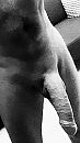 Aderen, foto 666x1184, 25 reacties, 57 stemmen