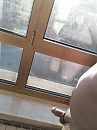 Agsin a sunny morning, foto 1932x2576, 0 reacties, 10 stemmen