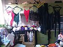 Alinetv, foto 4000x3000, 3 reacties, 5 stemmen