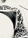 Almost too thick, foto 2316x3088, 0 reacties, 2 stemmen