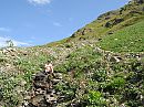 Alpenwandeling, foto 800x600, 1 reacties, 4 stemmen