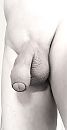 B&W. Alles weer netjes glad., foto 1212x2318, 2 reacties, 6 stemmen