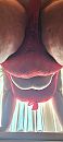 BBW in red, foto 834x1856, 3 reacties, 13 stemmen
