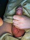 Blinken, foto 2316x3088, 0 reacties, 4 stemmen