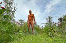Bloemenberm, foto 2048x1337, 6 reacties, 29 stemmen