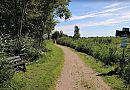 Boterwal, foto 629x437, 2 reacties, 2 stemmen