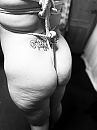 Bound and hooked…(2), foto 3000x4000, 11 reacties, 98 stemmen