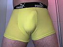 Boxer, foto 4000x3000, 6 reacties, 19 stemmen