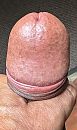 Bruine eikel, foto 1015x1712, 6 reacties, 15 stemmen