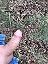 Buiten, foto 3000x4000, 21 reacties, 43 stemmen