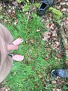 Buiten, foto 3000x4000, 1 reacties, 3 stemmen