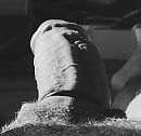 Bw, foto 1881x1836, 1 reacties, 0 stemmen