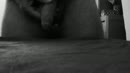 Cam...MILF / 2 ..het einde...., film 00:00:00, 0 reacties, 5 stemmen