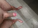 Camping douche, foto 800x600, 4 reacties, 6 stemmen