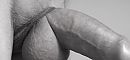 Catch, foto 2391x1119, 4 reacties, 12 stemmen