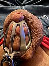 Chastity 1, foto 3000x4000, 7 reacties, 17 stemmen