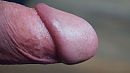 Close-up ..., foto 4000x2250, 2 reacties, 11 stemmen