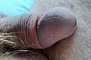 Close-up van piemel in rust, foto 2782x1854, 0 reacties, 2 stemmen