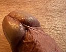 Close up eikel.!!!!!, foto 1095x875, 6 reacties, 19 stemmen