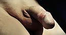 Close up., foto 2261x1212, 3 reacties, 7 stemmen