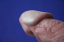 Closeup ..., foto 4000x2666, 2 reacties, 4 stemmen