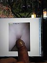 Cock Tribute Helmootje1987, foto 768x1024, 1 reacties, 2 stemmen