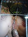 Cock Tribute backagain1, foto 768x1024, 1 reacties, 3 stemmen