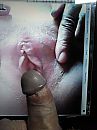 Cock Tribute bluestar8262, foto 1536x2048, 1 reacties, 2 stemmen