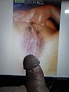 Cock Tribute daanenlaurien, foto 768x1024, 0 reacties, 0 stemmen