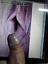 Cock Tribute kgode, foto 1536x2048, 1 reacties, 2 stemmen