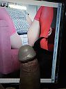 Cock Tribute mooiezomer2019, foto 768x1024, 1 reacties, 0 stemmen