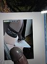 Cock Tribute mooiezomer2019, foto 768x1024, 2 reacties, 1 stemmen