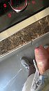 Cockerellen, foto 1062x1920, 1 reacties, 9 stemmen